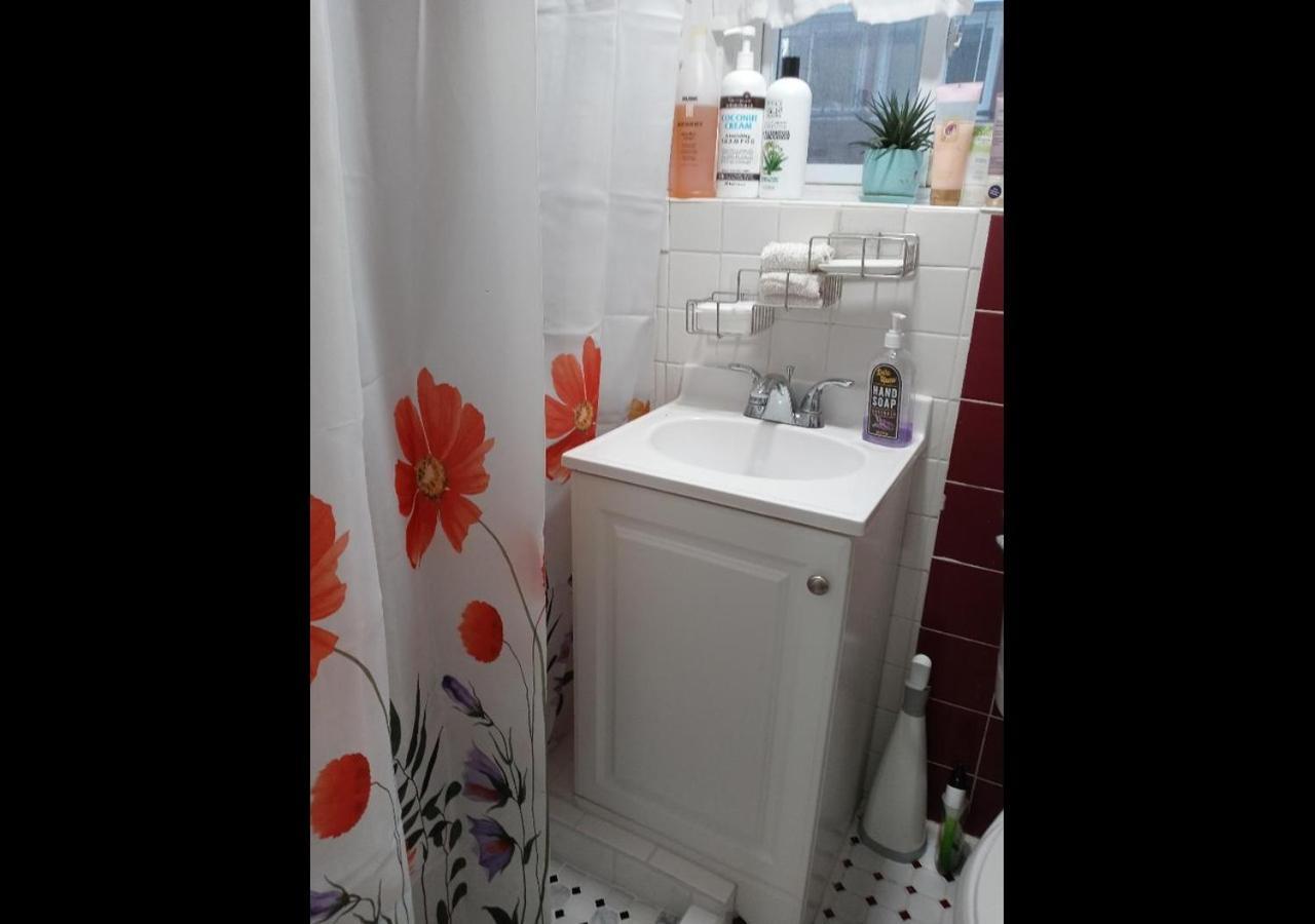 Appartamento "Cozy Basement Retreat Just 40 Minutes To Nyc!" Irvington Esterno foto